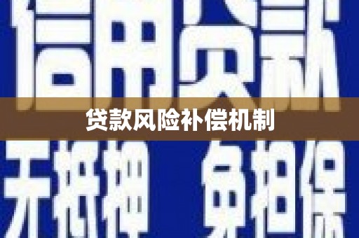 大关贷款风险补偿机制