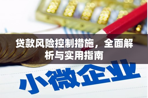 大关贷款风险控制措施，全面解析与实用指南