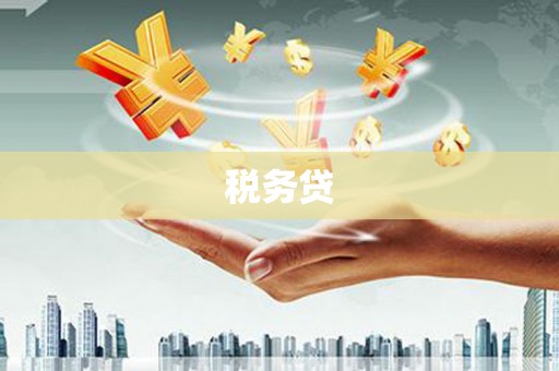 大关税务贷