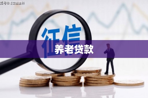 大关养老贷款