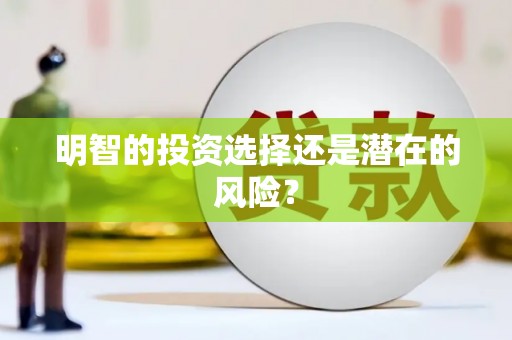 大关明智的投资选择还是潜在的风险？