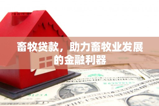 大关畜牧贷款，助力畜牧业发展的金融利器