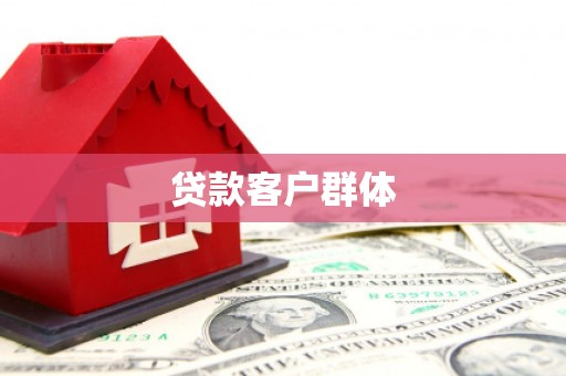 大关贷款客户群体