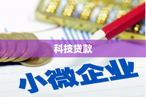 大关科技贷款