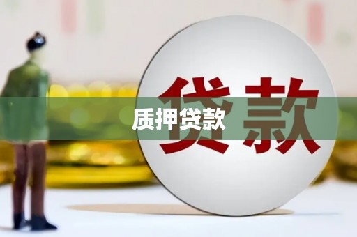 大关质押贷款