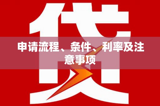 大关申请流程、条件、利率及注意事项
