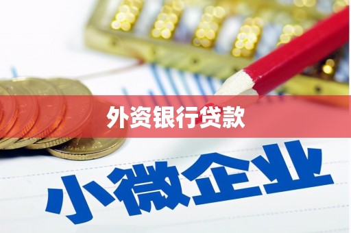 大关外资银行贷款