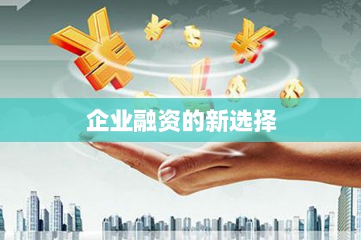 大关企业融资的新选择