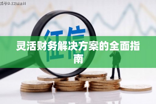 大关灵活财务解决方案的全面指南