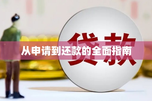 大关从申请到还款的全面指南