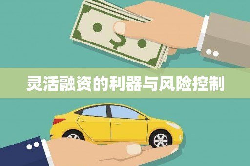 大关灵活融资的利器与风险控制