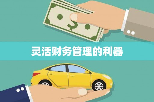 大关灵活财务管理的利器
