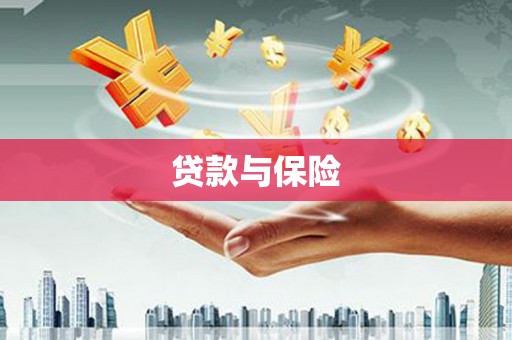 大关贷款与保险