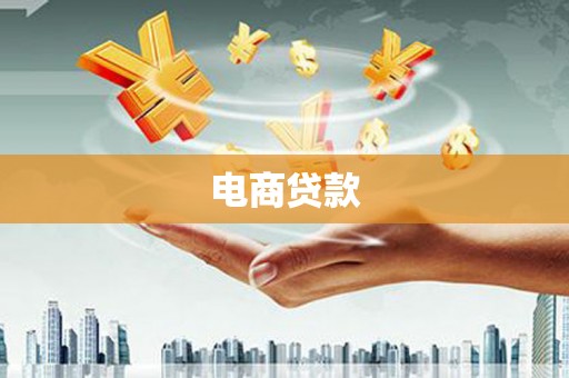 大关电商贷款
