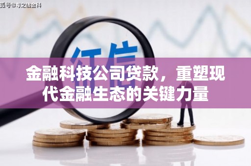大关金融科技公司贷款，重塑现代金融生态的关键力量