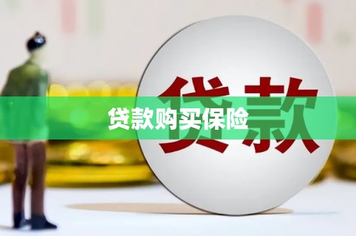 大关贷款购买保险