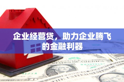 大关企业经营贷，助力企业腾飞的金融利器