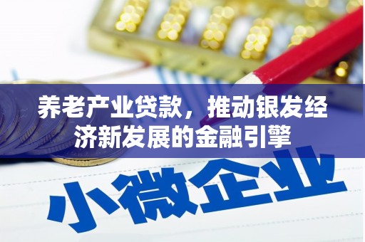 大关养老产业贷款，推动银发经济新发展的金融引擎