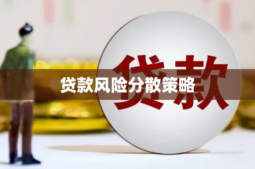 大关贷款风险分散策略