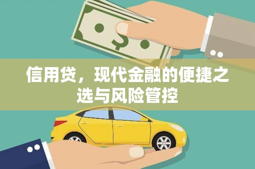 大关信用贷，现代金融的便捷之选与风险管控