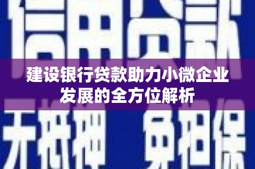 大关建设银行贷款助力小微企业发展的全方位解析