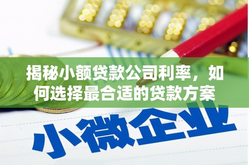 大关揭秘小额贷款公司利率，如何选择最合适的贷款方案
