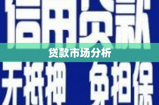 大关贷款市场分析