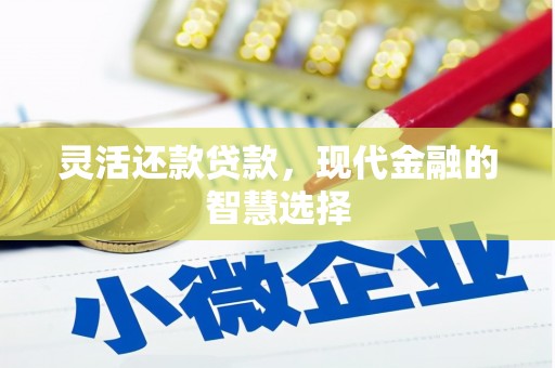 大关灵活还款贷款，现代金融的智慧选择