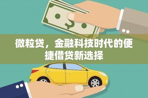 大关微粒贷，金融科技时代的便捷借贷新选择