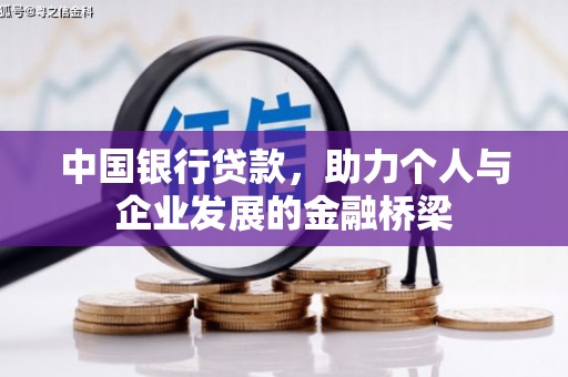 大关中国银行贷款，助力个人与企业发展的金融桥梁