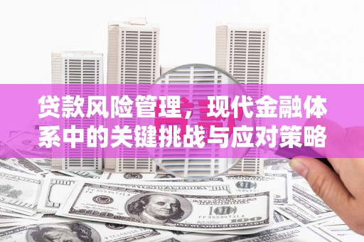 大关贷款风险管理，现代金融体系中的关键挑战与应对策略