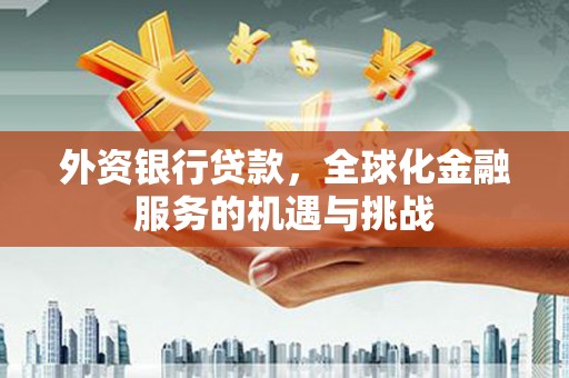 大关外资银行贷款，全球化金融服务的机遇与挑战