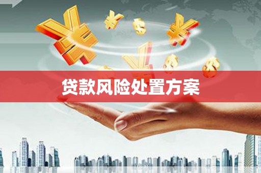 大关贷款风险处置方案