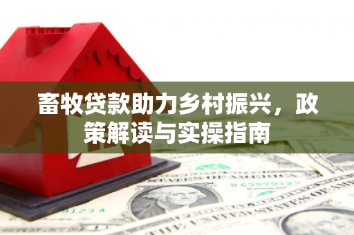 大关畜牧贷款助力乡村振兴，政策解读与实操指南