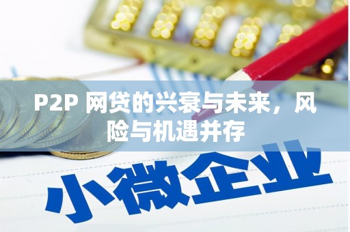 大关P2P 网贷的兴衰与未来，风险与机遇并存
