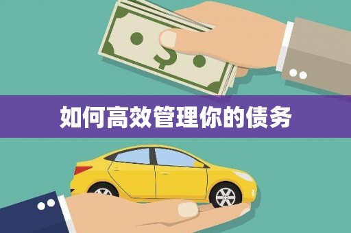 大关如何高效管理你的债务