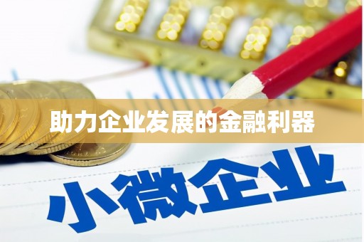 大关助力企业发展的金融利器