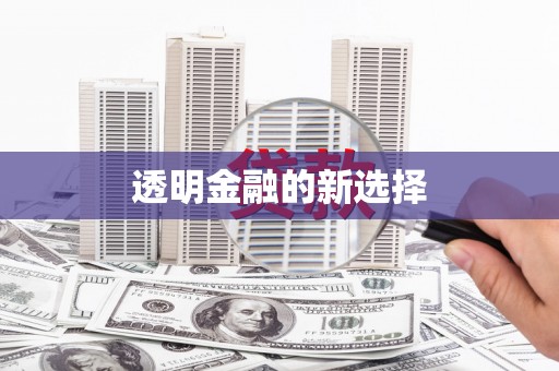 大关透明金融的新选择