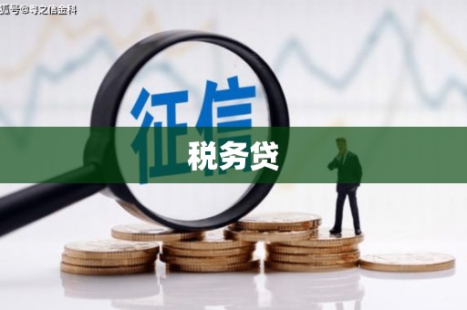 大关税务贷