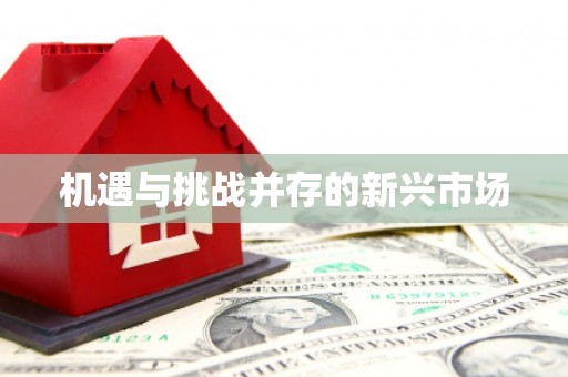大关机遇与挑战并存的新兴市场